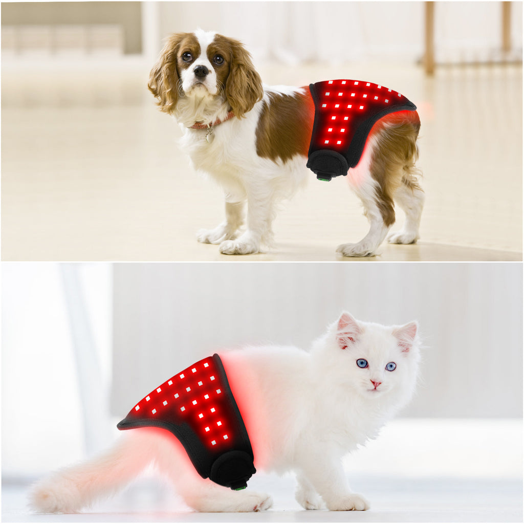 Fascia Fisioterapica LED Rosso Cani Gatti Ricaricabile