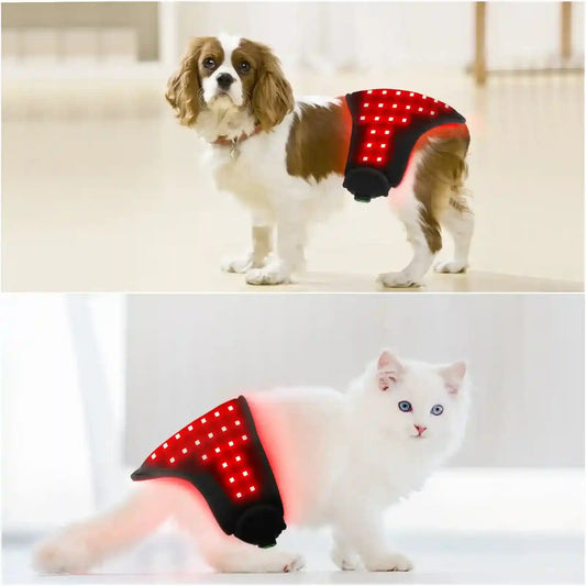 Fascia Fisioterapica LED Rosso Cani Gatti Ricaricabile by Dog Moda