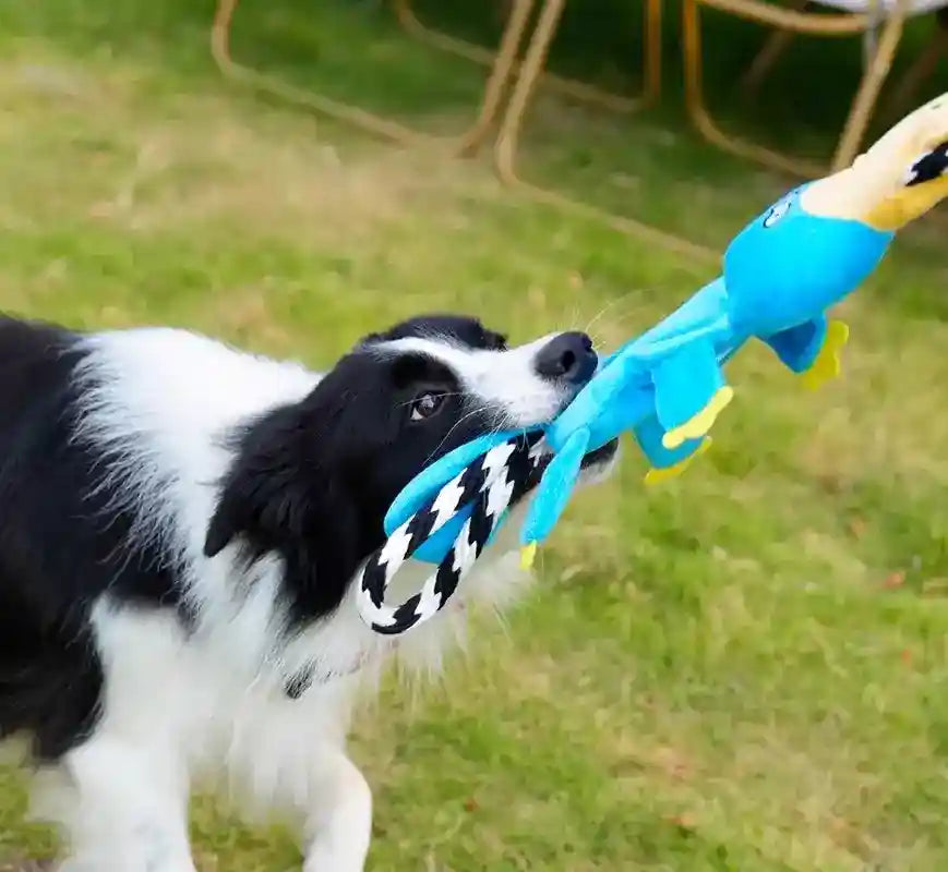 カモノハシのロープおもちゃ 犬用 - 丈夫な綱引き用