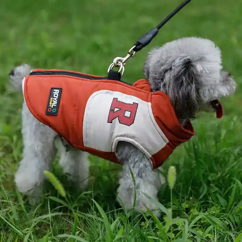 Cappotto per Cani Royal Imbottito con Zip - Impermeabile by Dog Moda
