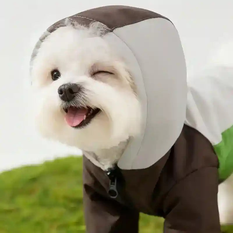 Impermeable para perros al aire libre - Capucha Bolsillos reflectantes