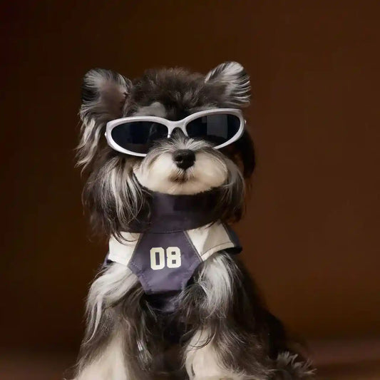 Impermeabile Tawney Bear Blu - Smanicato con Coulisse by Dog Moda