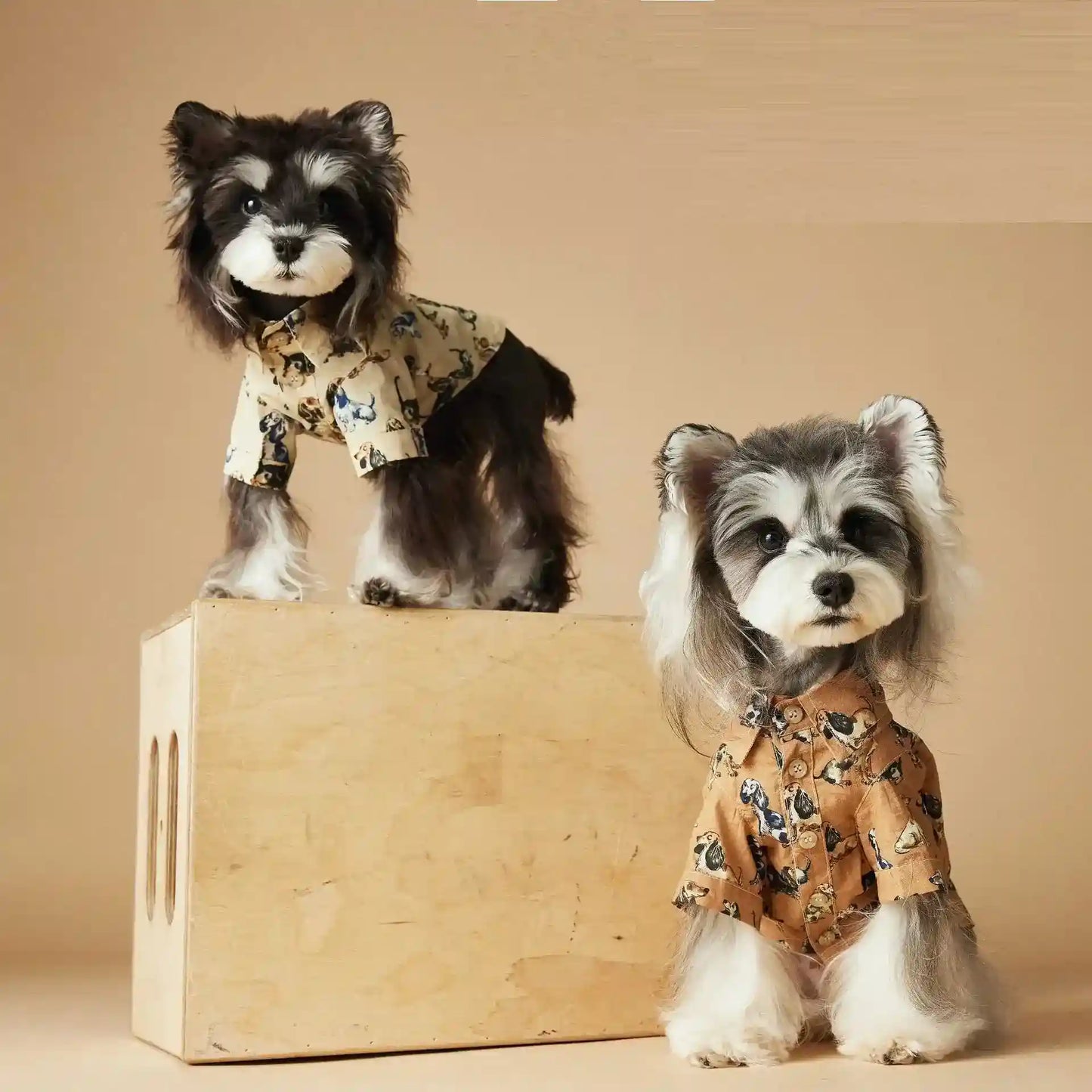 Camicetta Tawney Bear per Cani - Beige con Stampa by Dog Moda