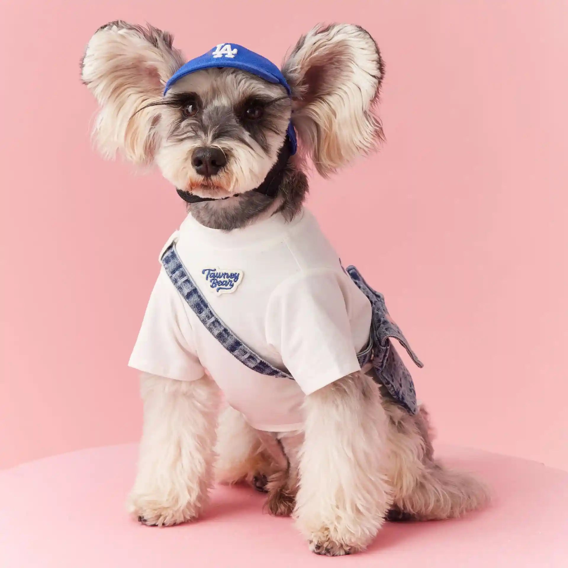 刺繍入りタウニーベア犬用セーター - 犬の服