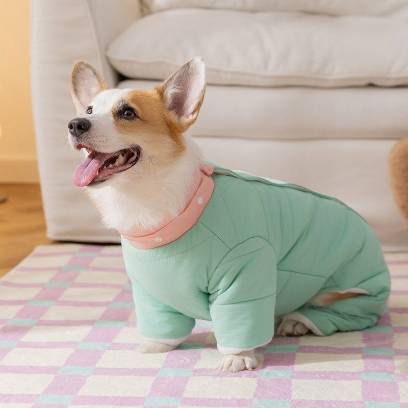 Piumino HIPIPET con Cappuccio Removibile per Cani - XS-XXL