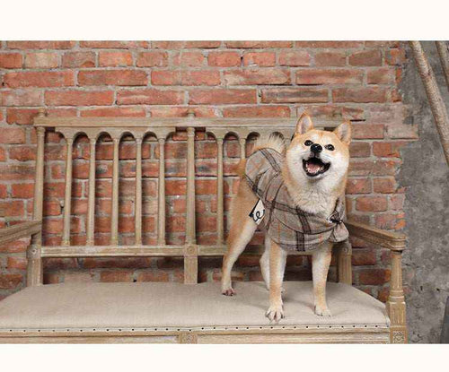 Cappotto per Cani "Filato di Classe" - Eleganza e Comfort per l'Inverno by Dog Moda