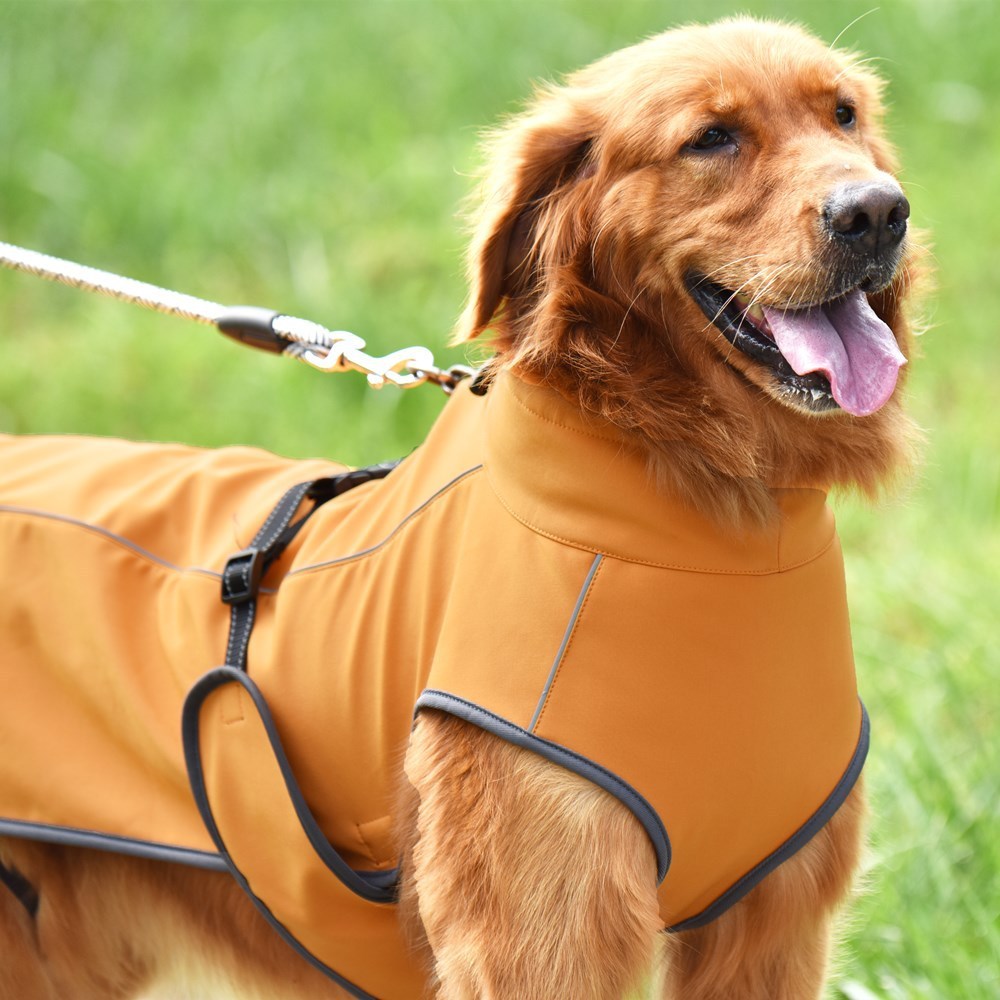 "Nexus" technical fabric banded dog raincoat