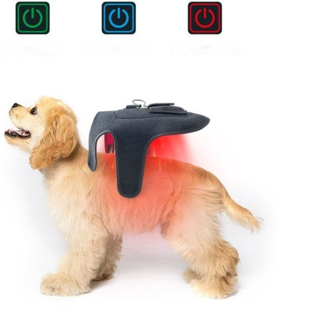 Dispositivo Terapia Luce Rossa Cani Gatti - Infrarossi by Dog Moda