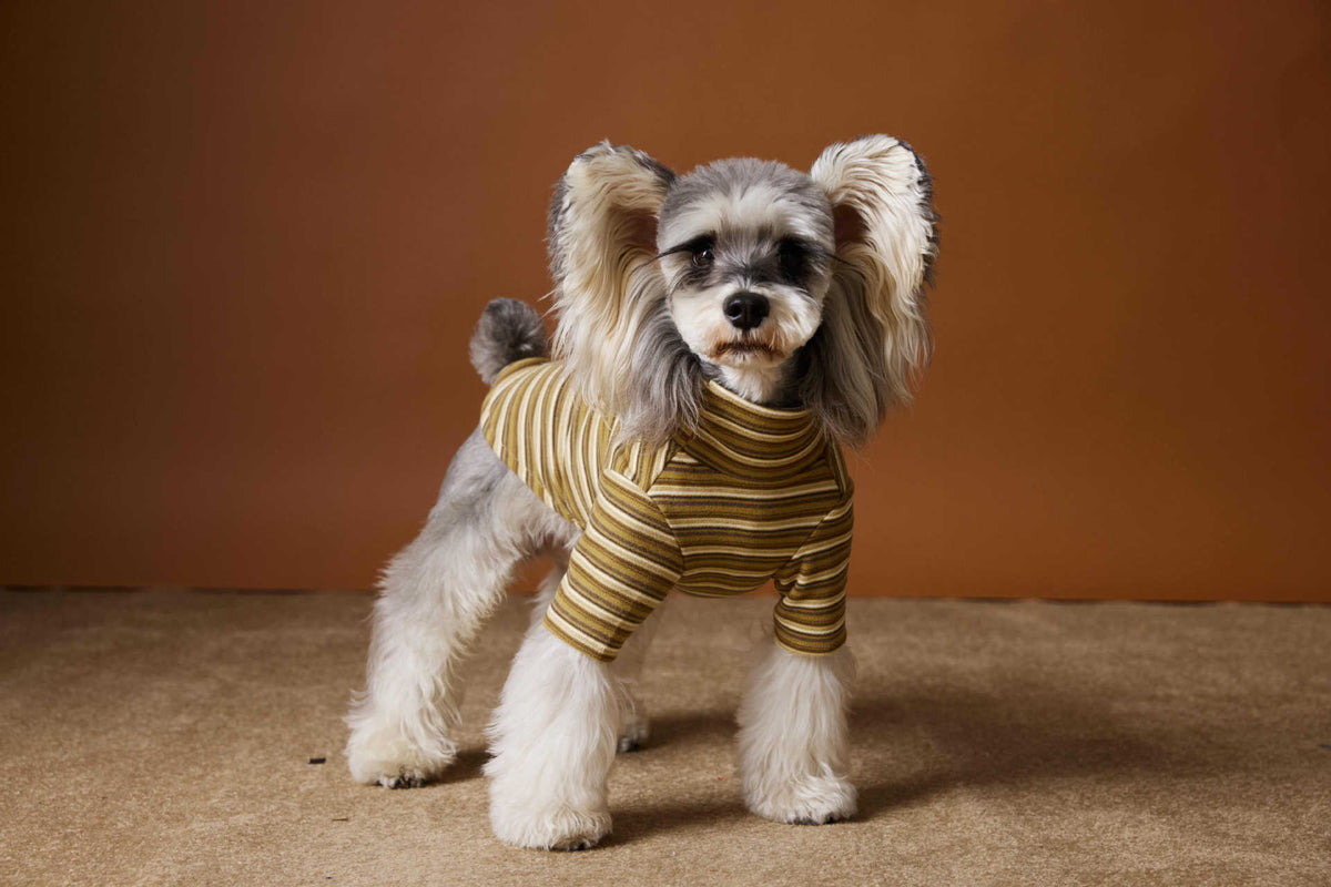 Maglia per Cani a Righe Tawney Bear - Stile Casual by Dog Moda