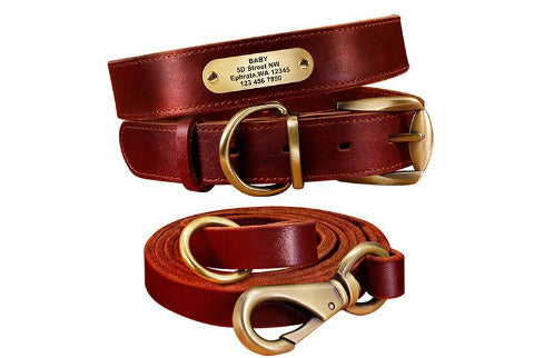 Personalisiertes Lederhalsband mit Anhänger für mittelgroße und große Hunde