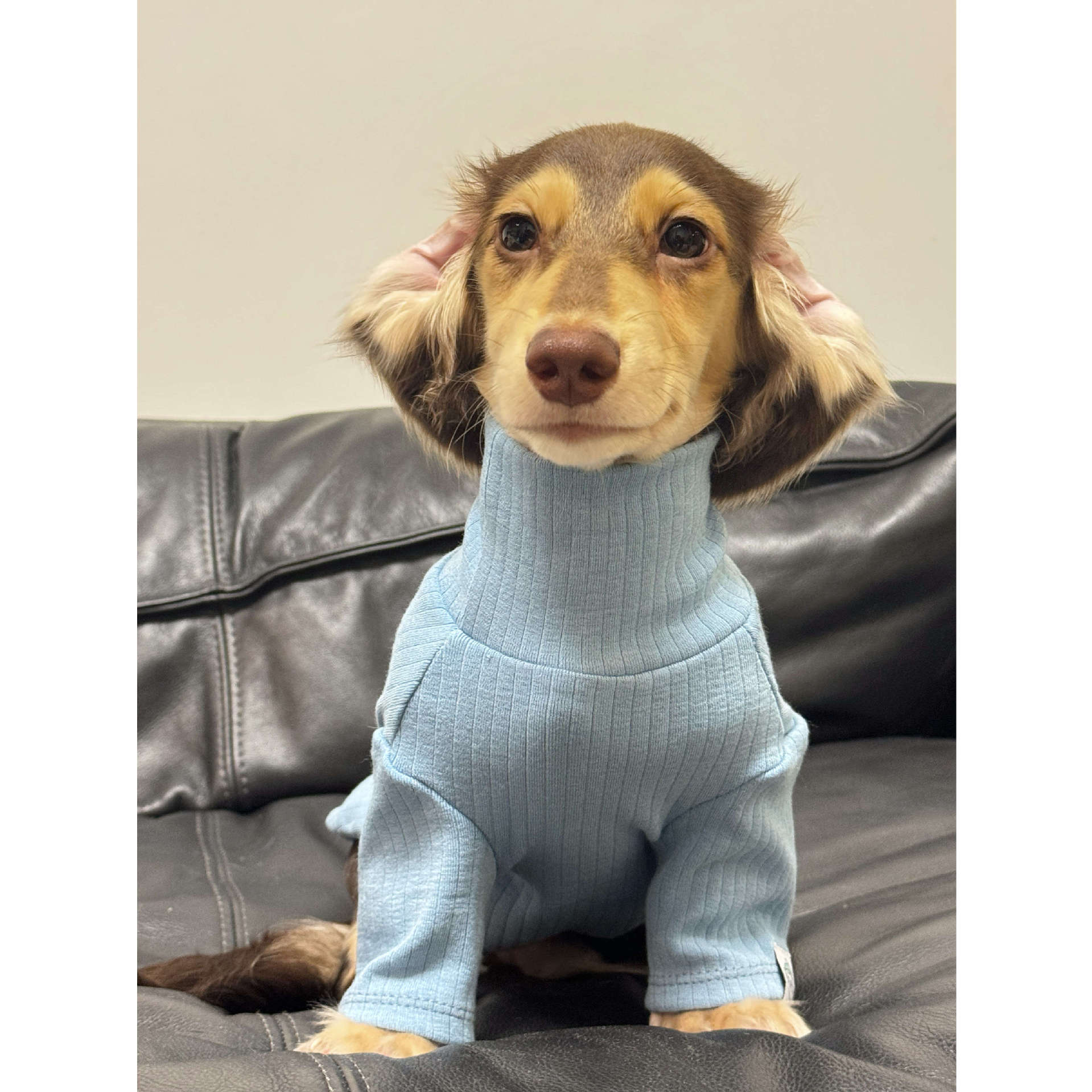 Jersey de Cuello Alto para Perros y Gatos - Algodón Suave Insta-Style