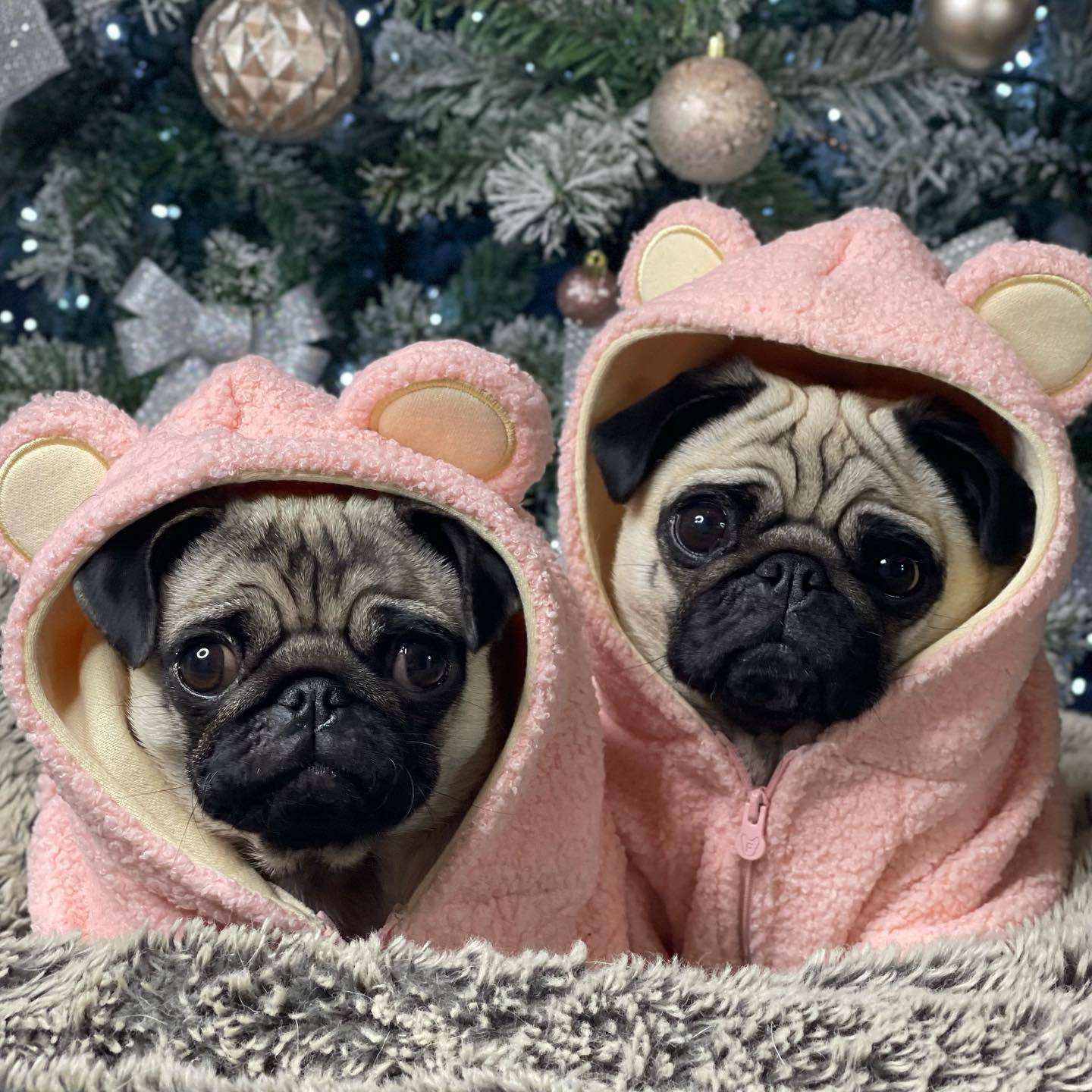 Fleece Dog Sweatshirt with Hood and Ears Soft and Warm