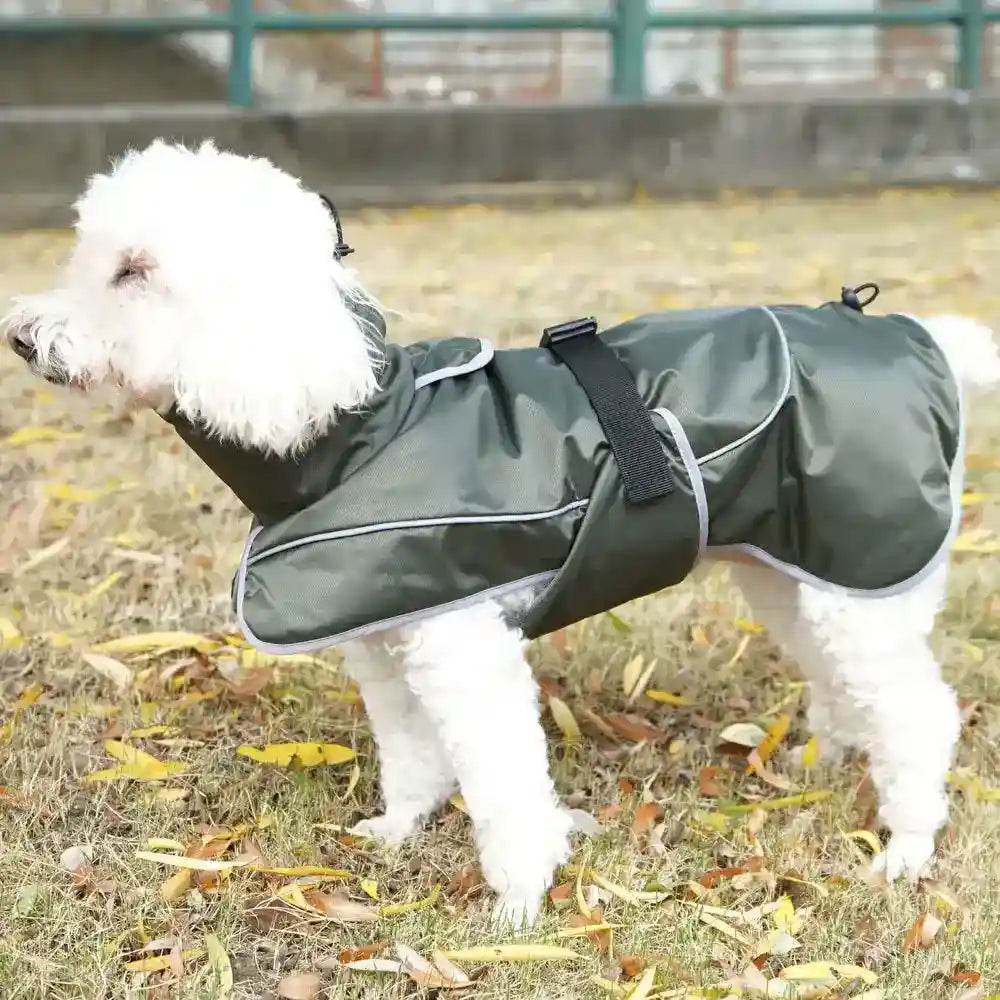 Cappotto per Cani Shell Antivento e Riflettente - Dogmoda by null