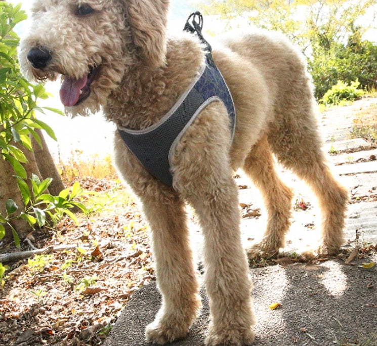 Breathable "Y" Dog Harness "Stone" Model