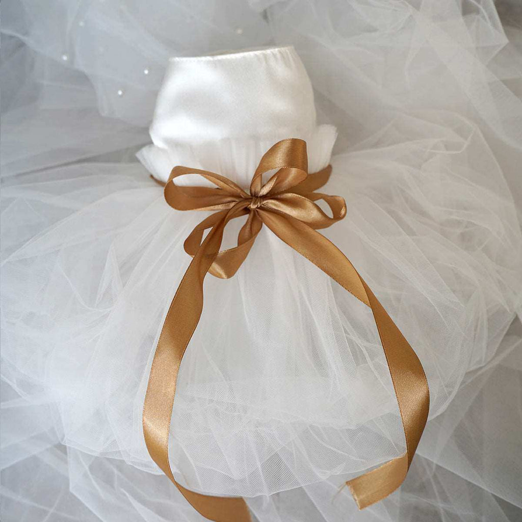 Vestito da Cerimonia per Cani Barboncino – Eleganza e Stile per Occasioni Speciali