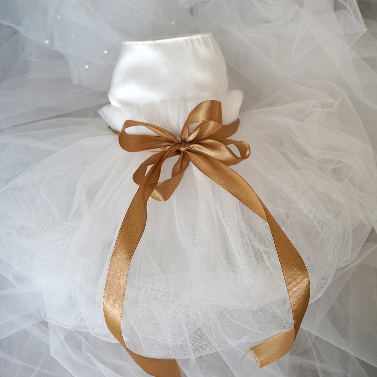 Vestito da Cerimonia per Cani Barboncino – Eleganza e Stile per Occasioni Speciali