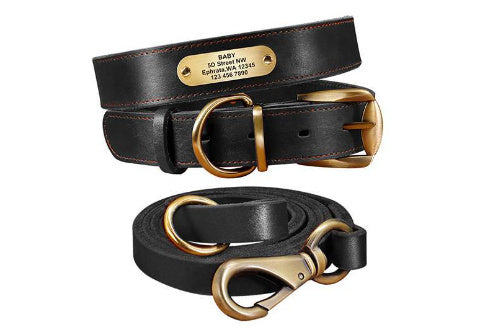 Personalisiertes Lederhalsband mit Anhänger für mittelgroße und große Hunde
