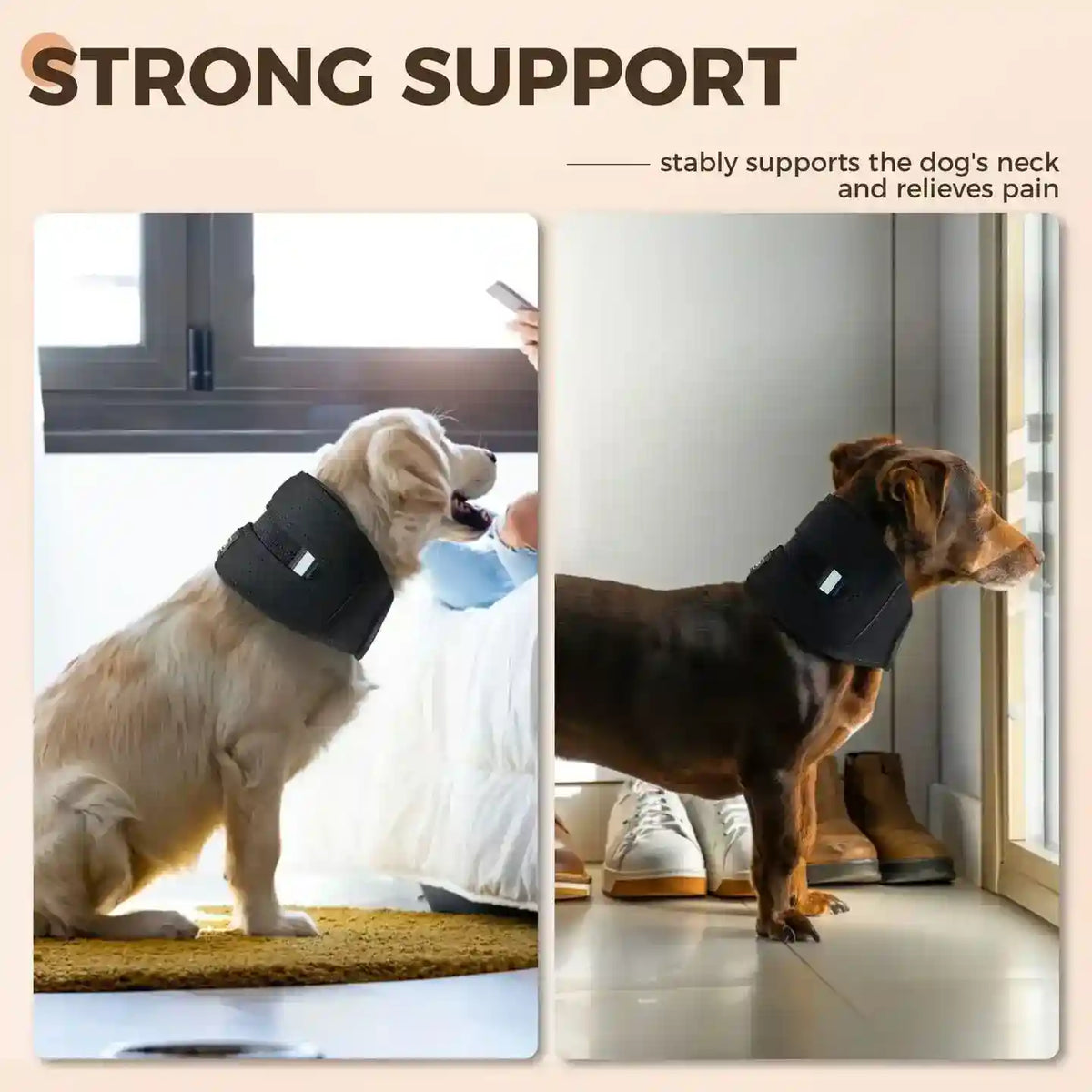 Collare Ortopedico per Cani - Supporto Cervicale Forte Antileccamento by Dog Moda
