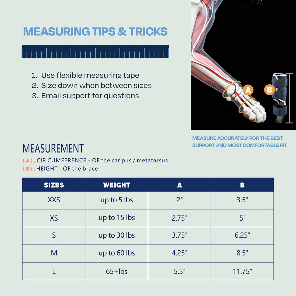 Tutore Ortopedico Zampa Anteriore Gatto - Splint
