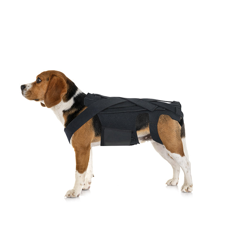 Tutore Ortopedico per Cani - Supporto Schiena IVDD by Dog Moda