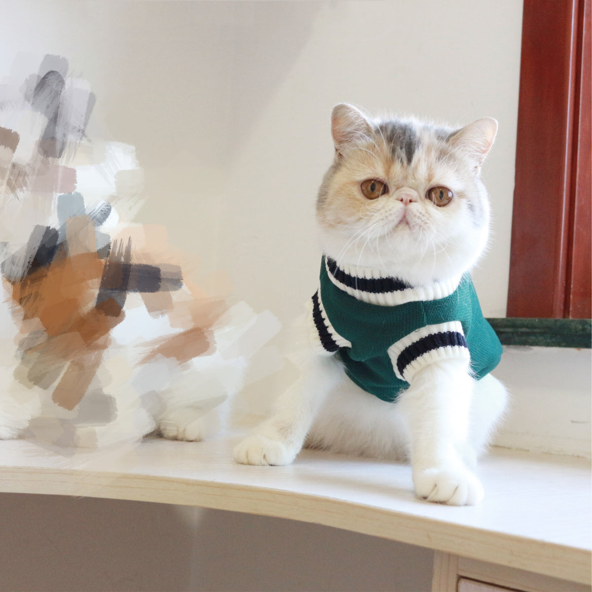 Maglioncino Smanicato per Gatti - Caldo e Comodo by Dog Moda