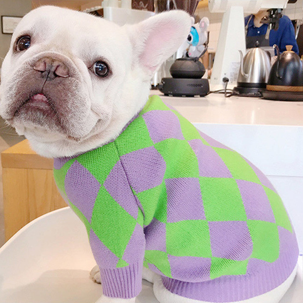 Maglione a Quadri Verdi e Porpora per Bulldog - Dog Moda