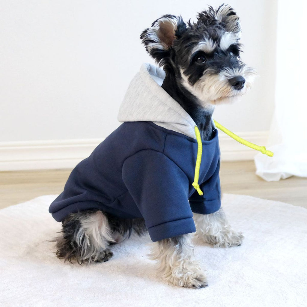 Felpa per Cani Bicolor con Cappuccio e Coulisse