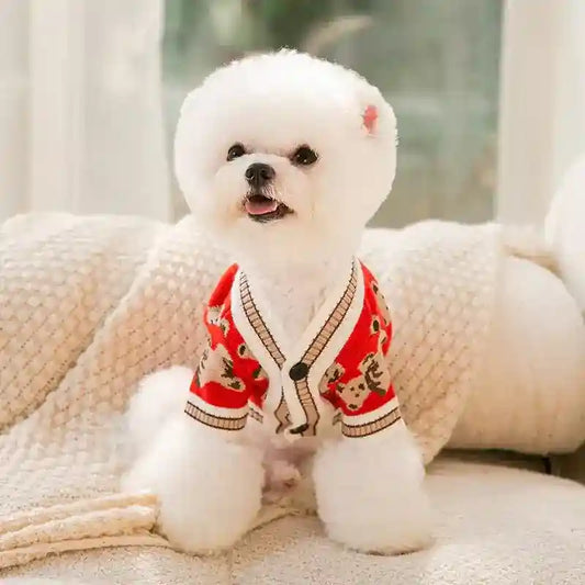 Maglione Cani Gatti Orsetto - Caldo Leggero Autunno by Dog Moda
