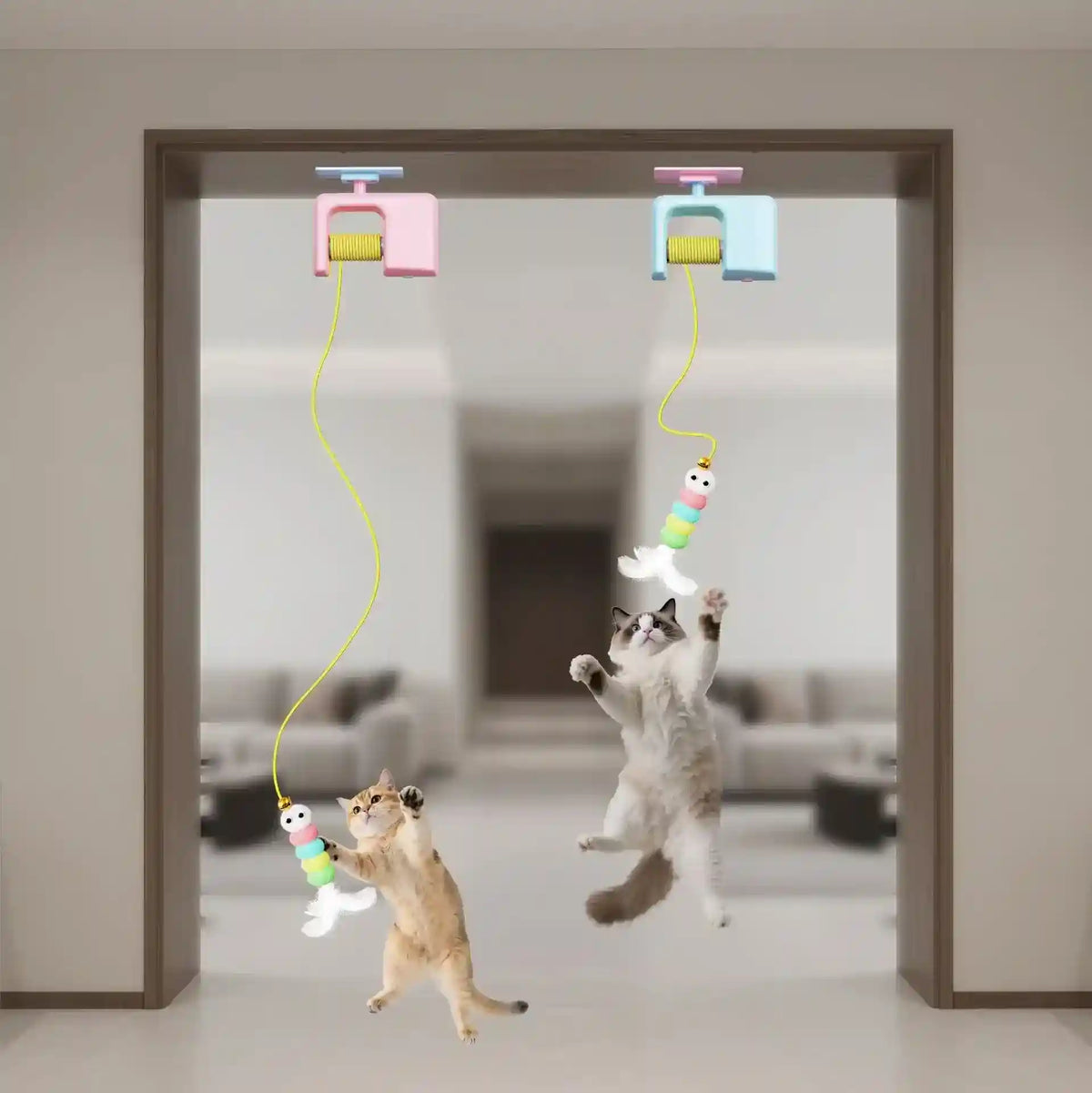 Gioco Yo-Yo Elettrico per Gatti - Interattivo Soffitto by Dog Moda