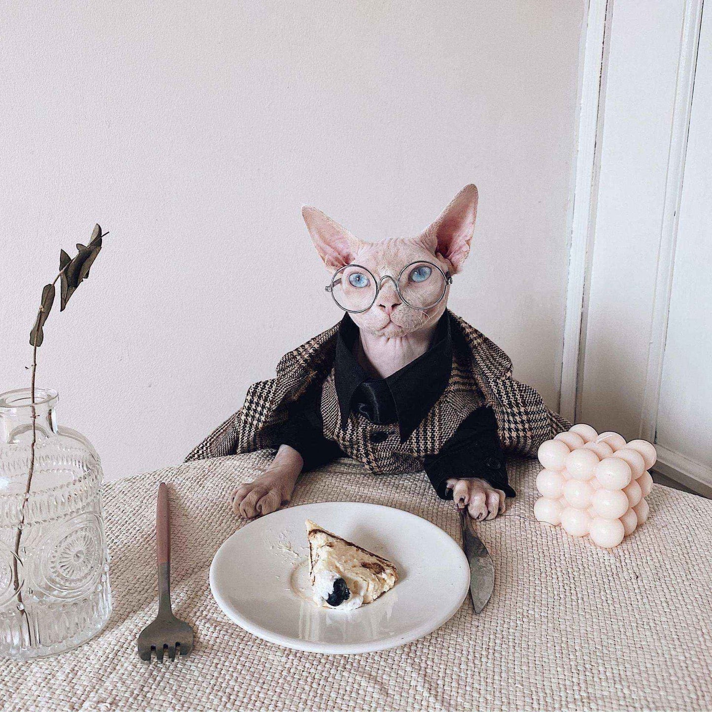 Vestito Elegante per Gatti Sphynx | Completo Giacca e Cravatta | Dogmoda