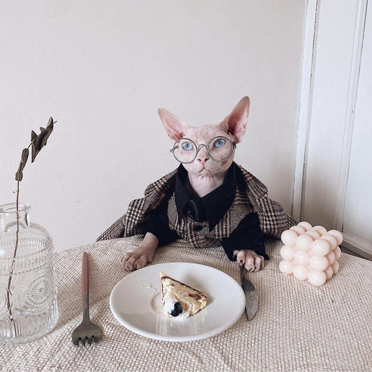 Vestito Elegante per Gatti Sphynx | Completo Giacca e Cravatta | Dogmoda