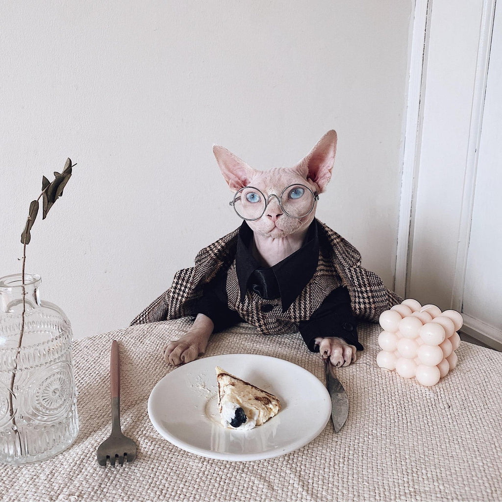 Vestito Elegante per Gatti Sphynx | Completo Giacca e Cravatta | Dogmoda