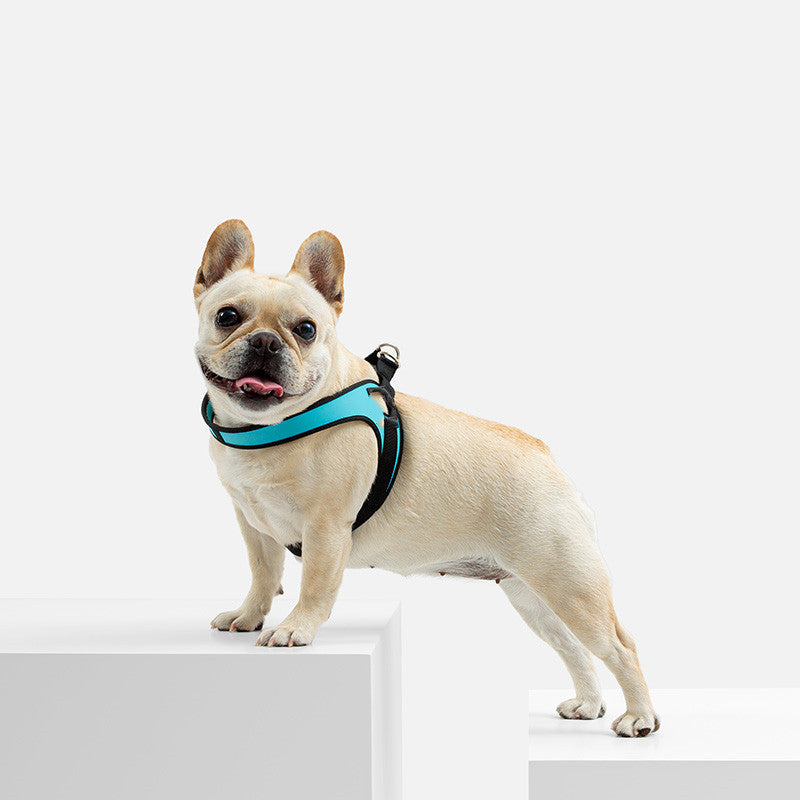 FLY Harness Quick Release and Adjustable Chest - Stunt Puppy