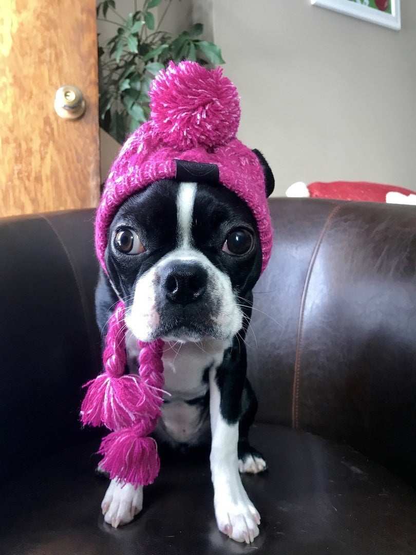 Wool Hat for Small Dogs "Saint Moritz" - Elegance and Winter Comfort