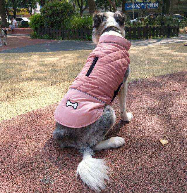 Fashion Autumn And Winter Outdoor Dog Clothes by Dog Moda