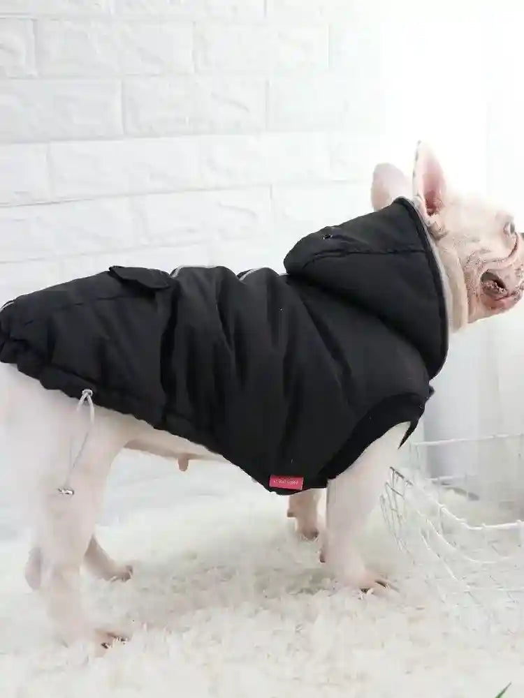 Cappotto Cane Imbottito Riflettente - Cappuccio e Tasche by Dog Moda