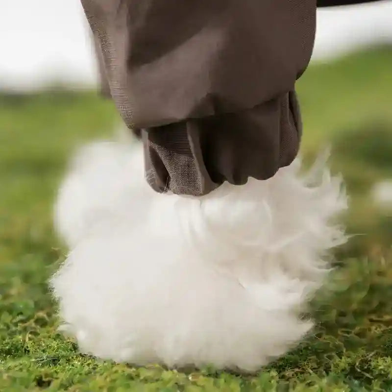 Impermeable para perros al aire libre - Capucha Bolsillos reflectantes