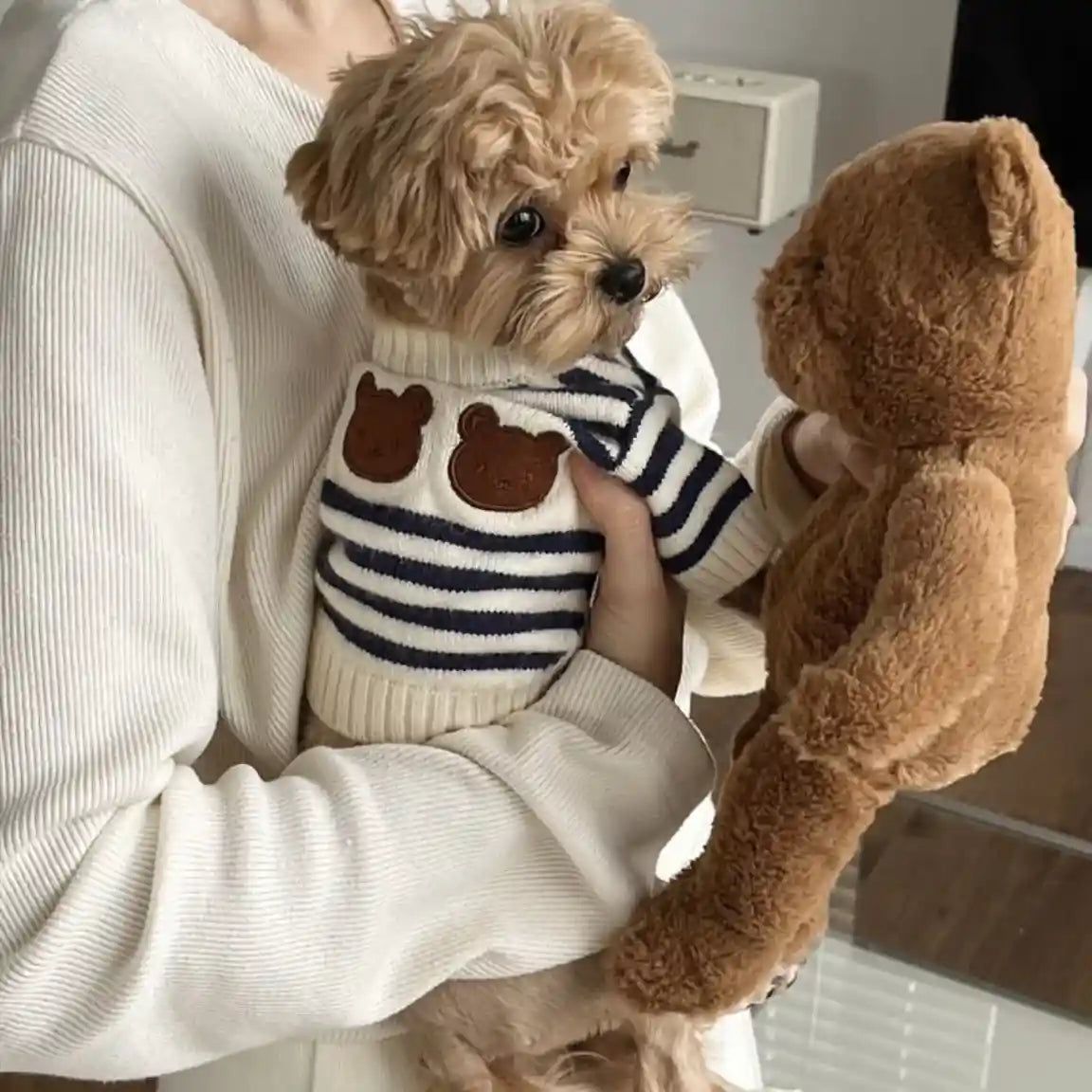 Maglione per Cani e Gatti con Orsetti - Bianco Righe by Dog Moda