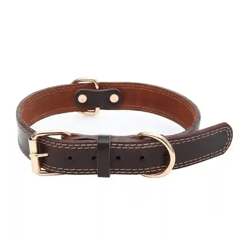 Collare Cani Pelle Marrone - Resistente e Regolabile by Dog Moda