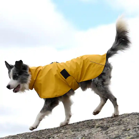 Impermeabile Cani V-Camp - K-Way Antipioggia Collo Alto by Dog Moda