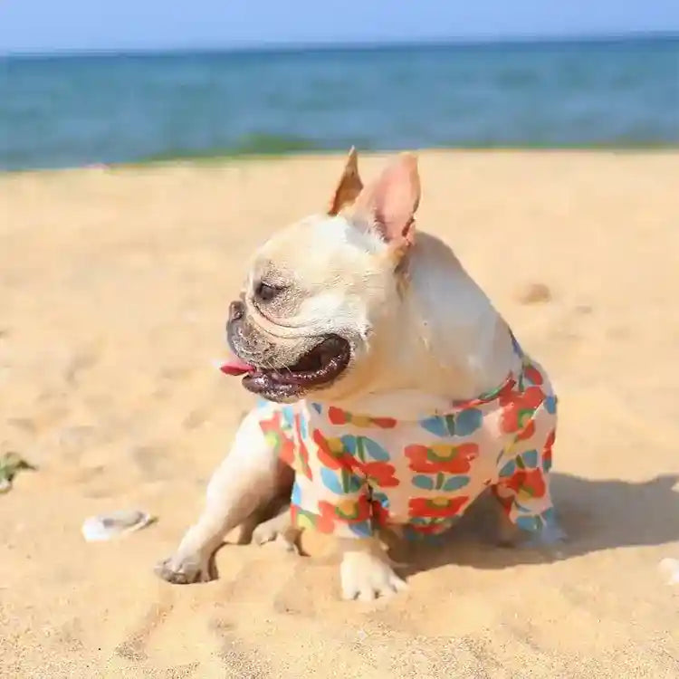 Maglietta Fiori Estiva per Cani - Protezione Solare Mesh by Dog Moda