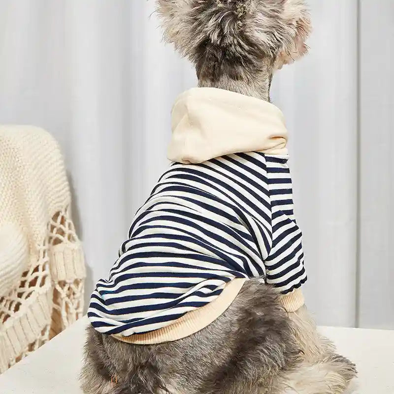 Maglione Cani Gatti Righe Cappuccio - Caldo e Trendy by Dog Moda