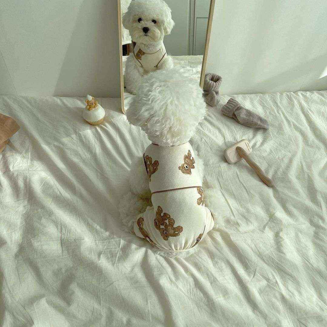 Tutina 4 Zampe per Cani Orsetti – In Cotone Morbido Bianco o Marrone