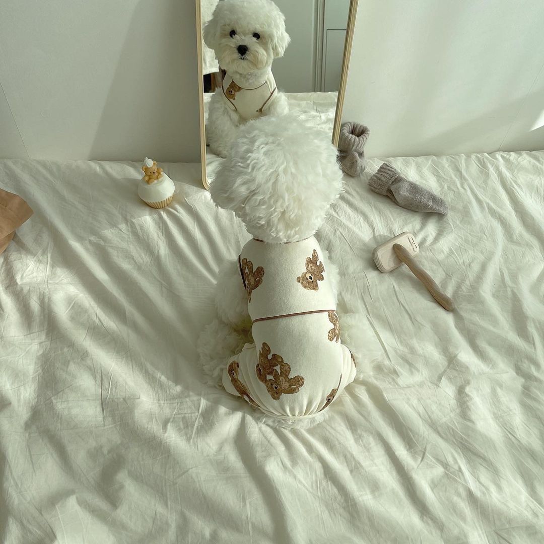 Tutina 4 Zampe per Cani Orsetti – In Cotone Morbido Bianco o Marrone