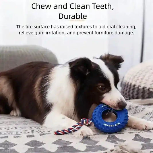 Gioco Tira e Molla Pneumatico per Cani - Dispenser Snack by Dog Moda