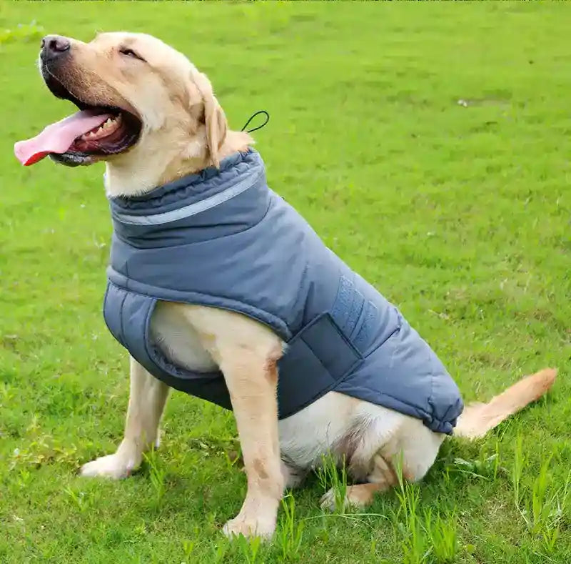 Abrigo impermeable para perros con velcro y detalles reflectantes