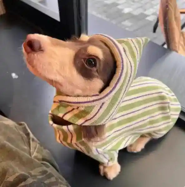 犬用グリーンストライプパッド入りフリース - フード付き