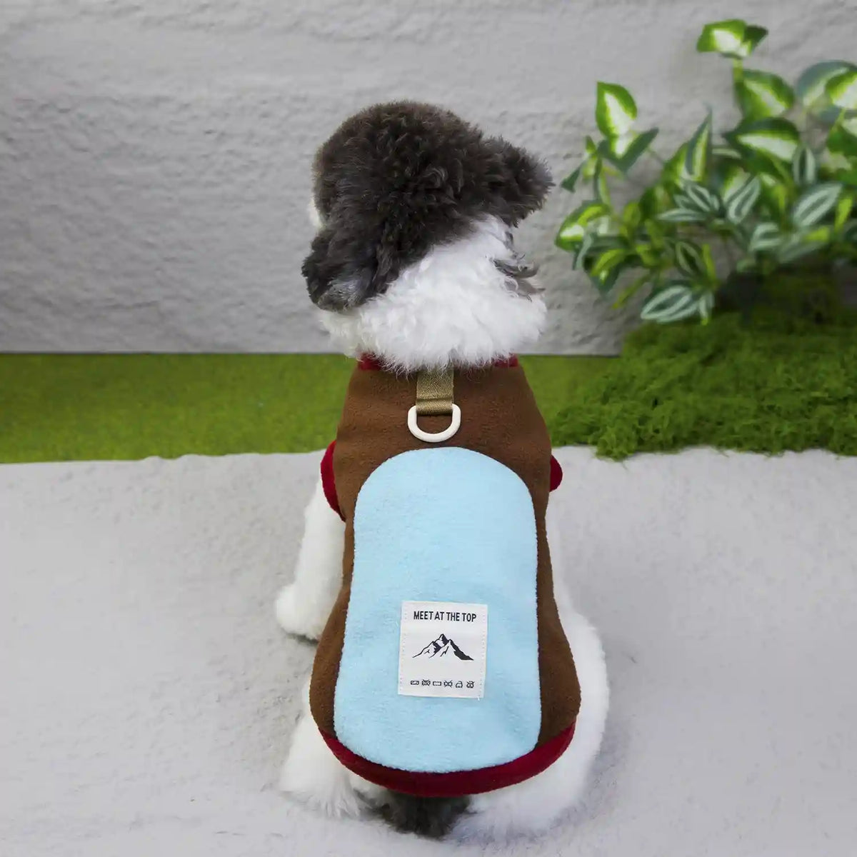 Felpa Cani Mountain Pile Sherpa Anello Pettorina Inverno by Dog Moda