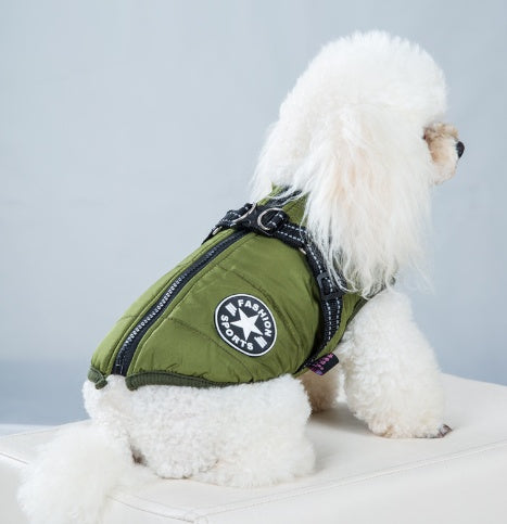 Hundegeschirrmantel – Komfort, Sicherheit &amp; Stil