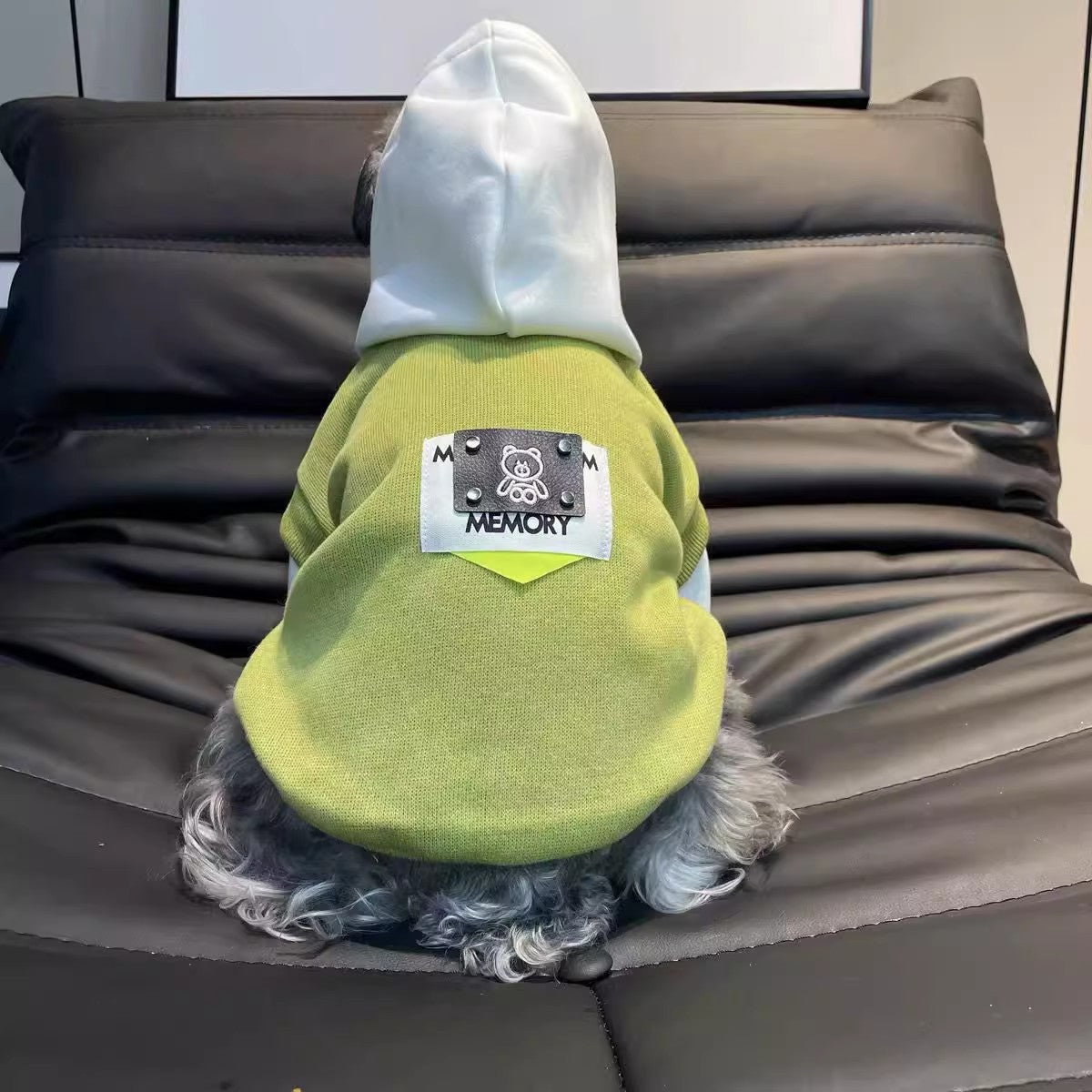 Sudadera para Perro Memory con Capucha Forro Polar Verde Instagram